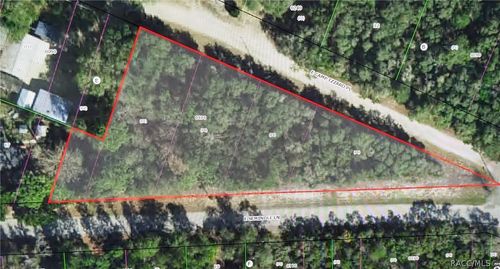 4114 E Camp Izzard Pl, Dunnellon, FL, 34434-4704 | Card Image