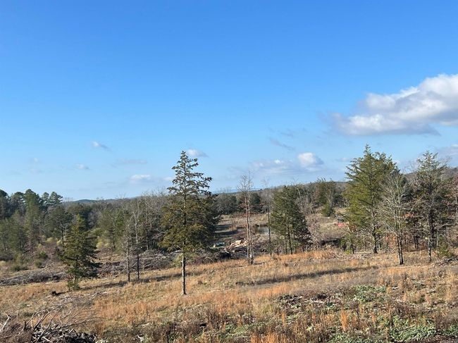 165 Mirage Ln, House other with 1 bedrooms, 1 bathrooms and null parking in Hatfield AR | Image 34