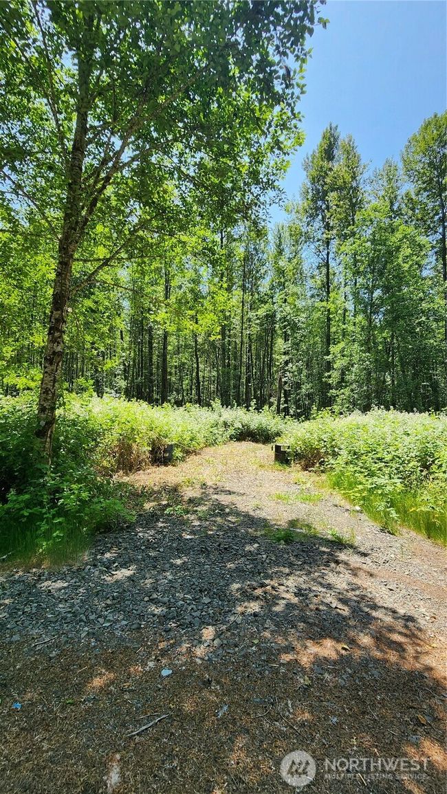 1230 Silverbrook Rd, Home with 0 bedrooms, 0 bathrooms and null parking in Randle WA | Image 21