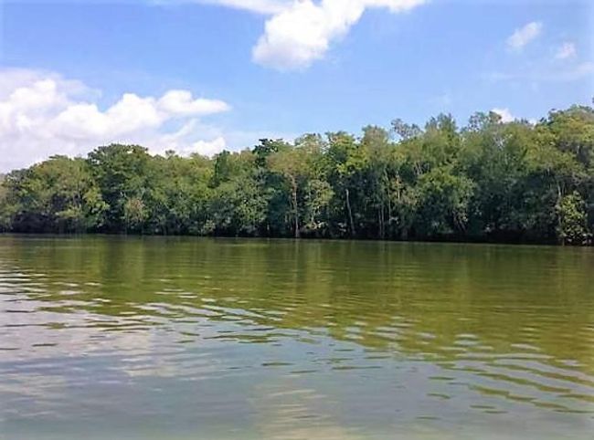 Brothers River | Image 11