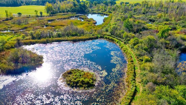DJI_0096_hdr.jpg | Image 44