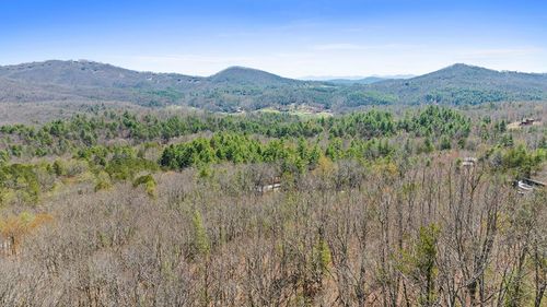 40B Synacia Dr, Mineral Bluff, GA, 30559 | Card Image