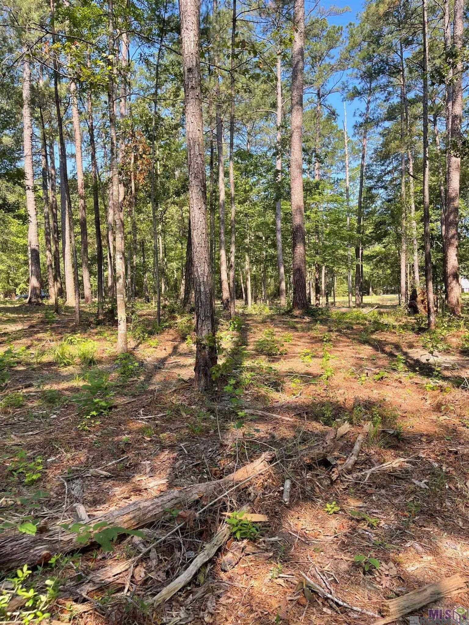Land in Clinton 3