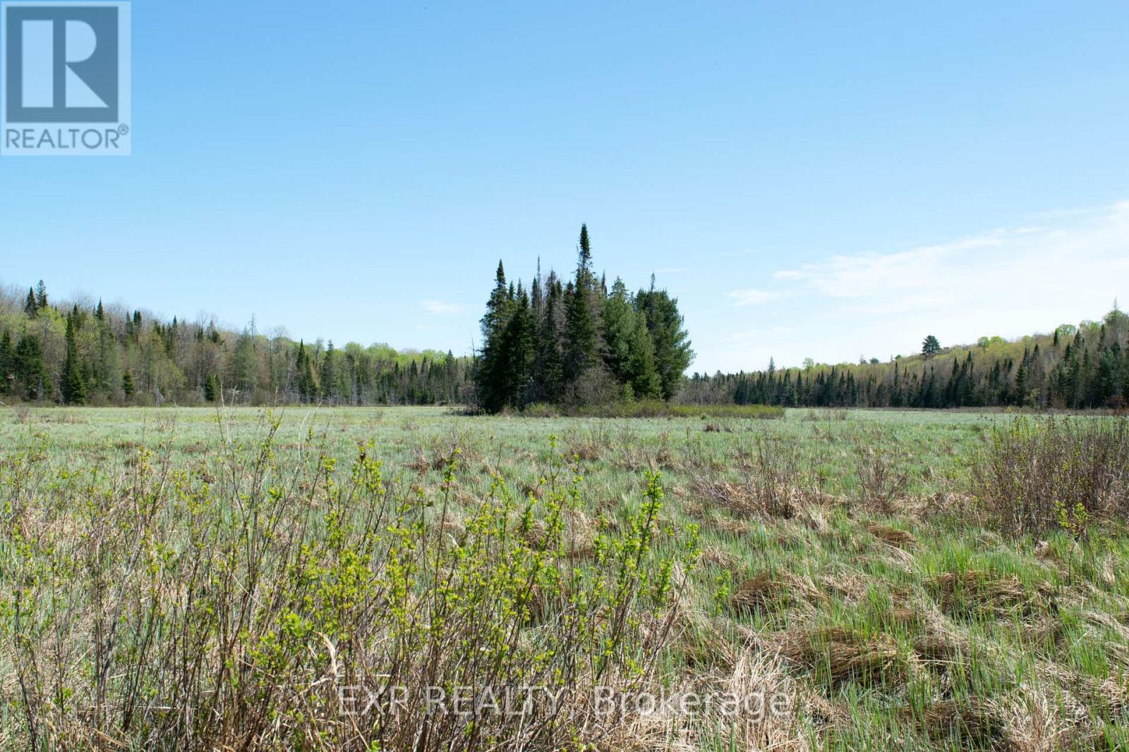 Residential in Muskoka Lakes (Cardwell) 4