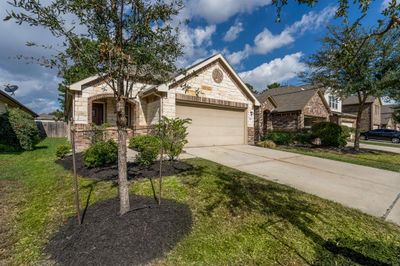 Freshly mulched and landscaped | Image 2