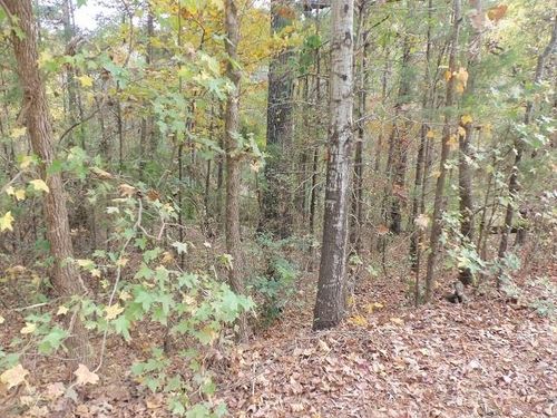 TBD Florey Lake Rd, Kilgore, TX, 75662 | Card Image