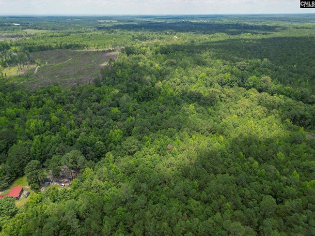 0 Mcdaniel Rd, Home with 0 bedrooms, 0 bathrooms and null parking in Rembert SC | Image 7