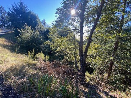 615 Muskrat Cir, Whitethorn, CA, 95589 | Card Image