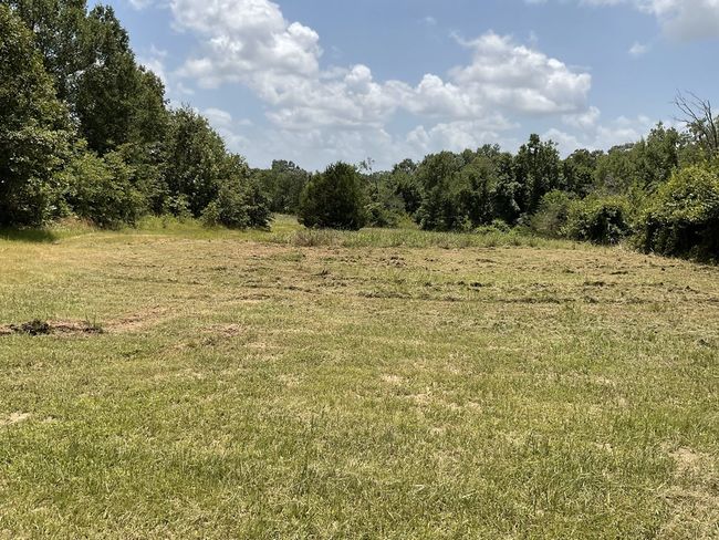 0 Lee Rd, Home with 0 bedrooms, 0 bathrooms and null parking in Murchison TX | Image 5