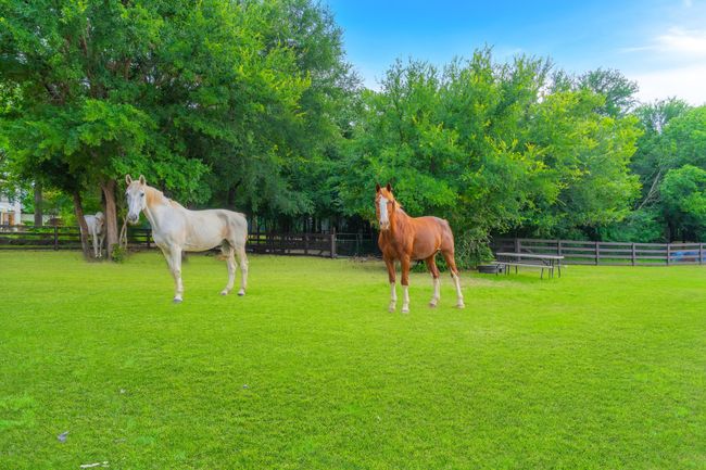 1321 Bridle Bit Rd, House other with 4 bedrooms, 5 bathrooms and null parking in Flower Mound TX | Image 27