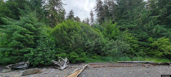 LOT-2-BLOCK-B-DUNCANS-CA - 000 Legal Address Only, Home with 0 bedrooms, 0 bathrooms and null parking in Excursion Inlet AK | Image 22