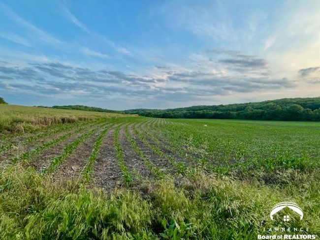 10.01 Acres M/L N 800 Road, Home with 0 bedrooms, 0 bathrooms and null parking in Baldwin City KS | Image 10
