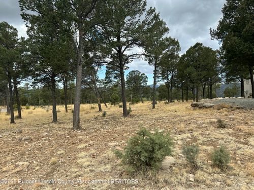 106 Avalon Ct, Ruidoso, NM, 88345 | Card Image