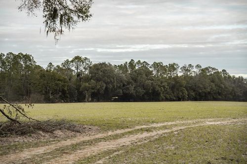 Lot 7 Country Hall Road, Chiefland, FL, 32626 | Card Image