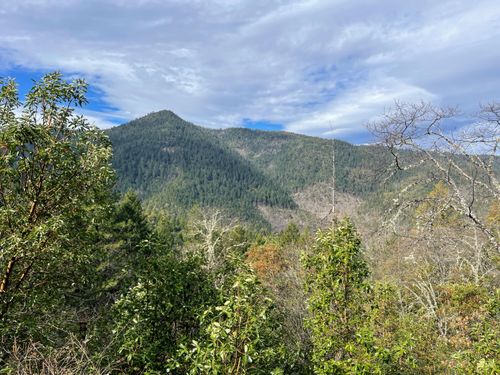 0 Savage Creek Rd Tl2502, Rogue River, OR, 97537 | Card Image