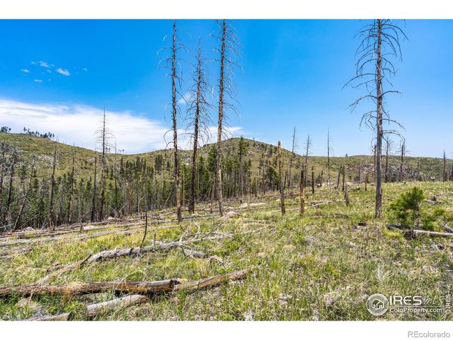 2384 Rist Creek Rd, Home with 0 bedrooms, 0 bathrooms and null parking in Bellvue CO | Image 12