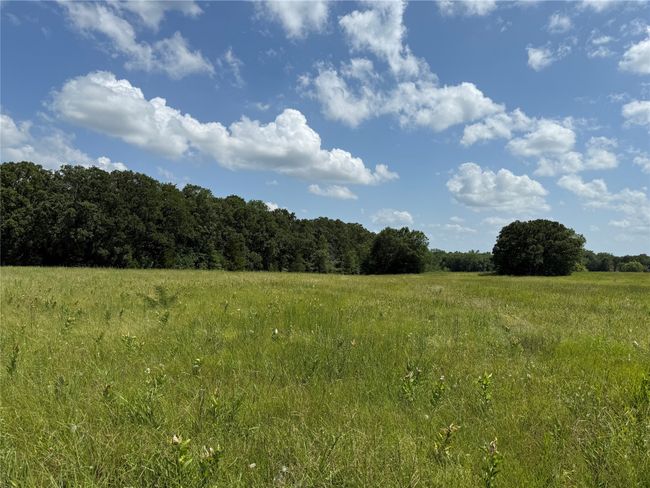 View of wooded area featuring a view of rural / pastoral area | Image 4