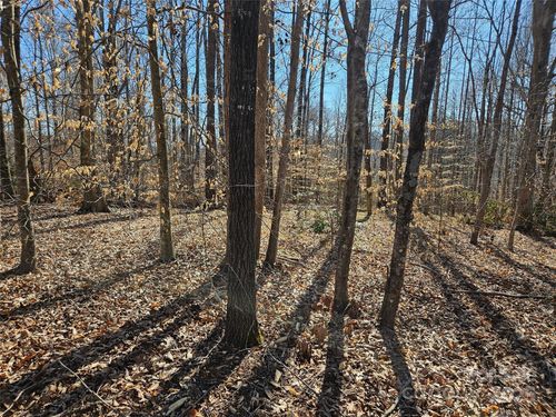 35-and-37-0 General Griffith Cir, Rutherfordton, NC, 28139 | Card Image