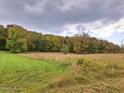 Lot 7.4 County Road 93, Fremont Center, NY, 12736 | Card Image