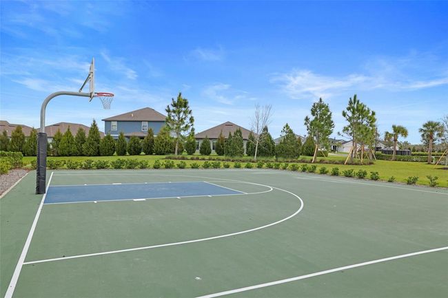 Basketball | Image 44