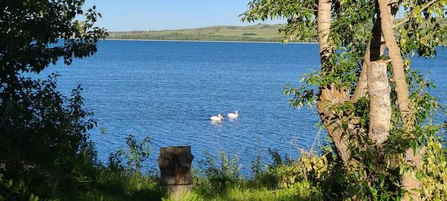 45 W Shore Duck Lake Rd, House other with 3 bedrooms, 1 bathrooms and null parking in Babb MT | Image 19