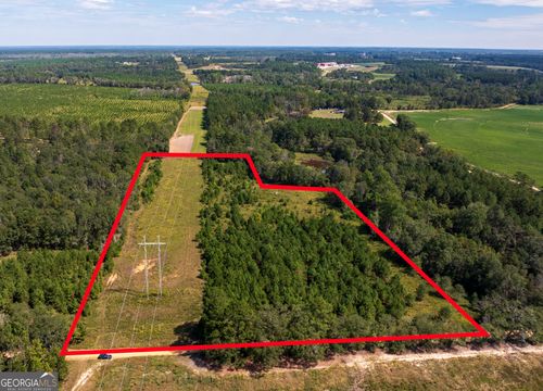 9.5 ACRES Danny Martin Rd, Cobbtown, GA, 30420 | Card Image