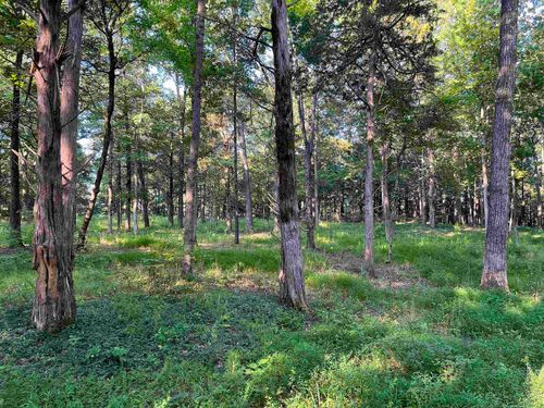 5335 Country Club Rd, Somerville, TN, 38068 | Card Image