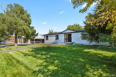 Large Front Lawn With New Landscaping & Sprinkler System | Image 2