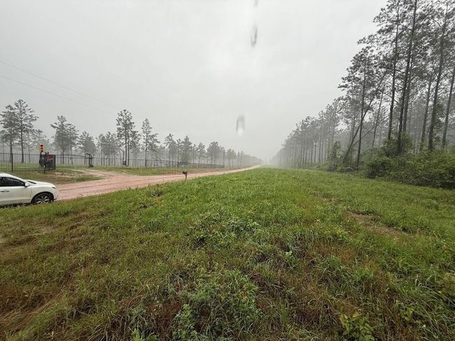0 Richardson Rd E, Home with 0 bedrooms, 0 bathrooms and null parking in Livingston TX | Image 44
