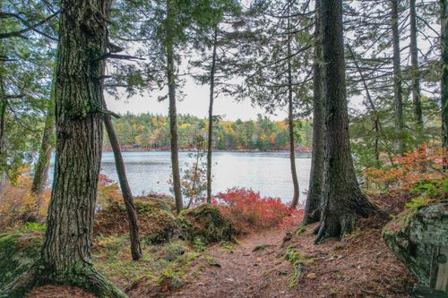 155 Long Point Way, Orland, ME, 04472 | Card Image