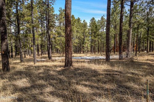 4-3 County Road N1062 --, Greer, AZ, 85927 | Card Image