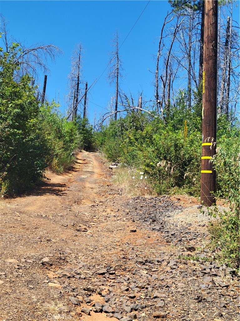 Land in Berry Creek