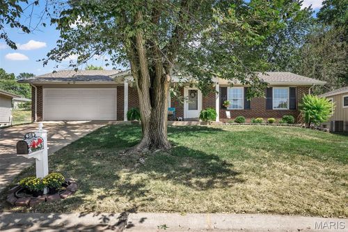 6 Avocado Tree Cir, Saint Peters, MO, 63376-2721 | Card Image