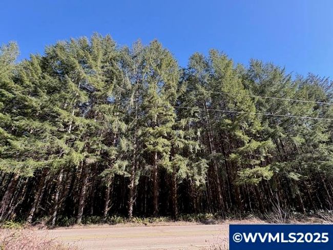 0 Logsden Rd, Home with 0 bedrooms, 0 bathrooms and null parking in Blodgett OR | Image 7