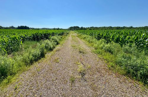 17891 90th Ave, Milaca, MN, 56353-4628 | Card Image