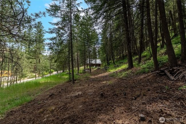 7 Howerton Rd, Home with 0 bedrooms, 0 bathrooms and null parking in Twisp WA | Image 5