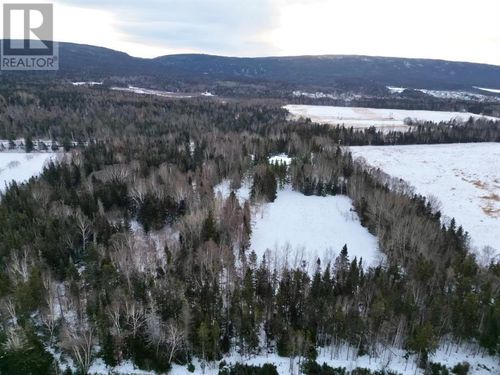 97 C Main St, Pasadena, NL, A0L1K0 | Card Image