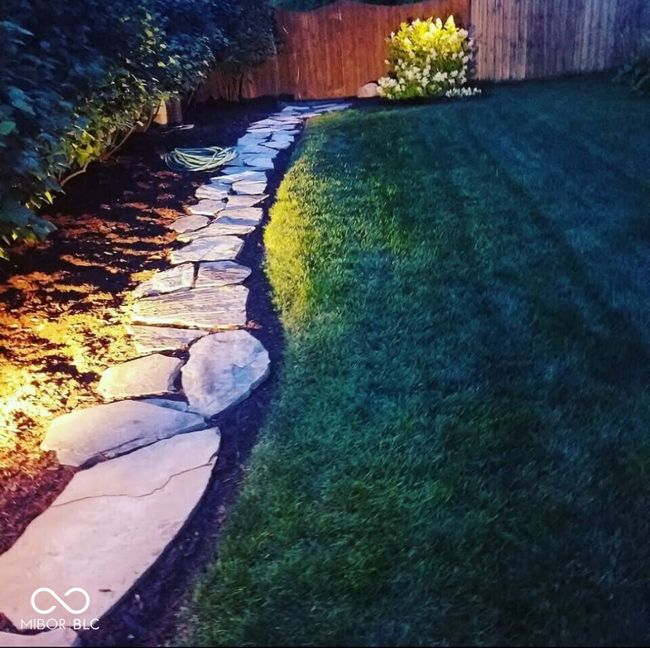 view of yard | Image 38