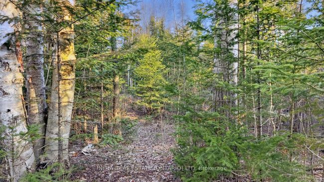 450 Sauble Falls Pky, Home with 0 bedrooms, 0 bathrooms and null parking in Sauble Beach ON | Image 34