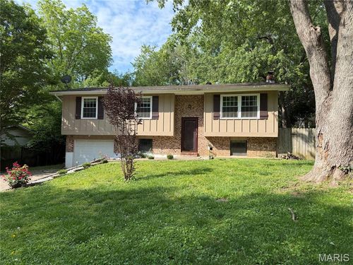 819 Odus Dr, Jackson, MO, 63755-3107 | Card Image