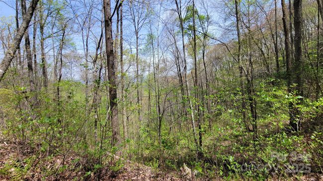 27 - 27 Lacy Fern Rdg, Home with 0 bedrooms, 0 bathrooms and null parking in Sylva NC | Image 10