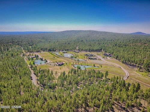 9579 Sierra Springs Dr, Pinetop, AZ, 85935-8868 | Card Image