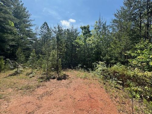 Lot 9 Paradise, Marble, NC, 28905 | Card Image