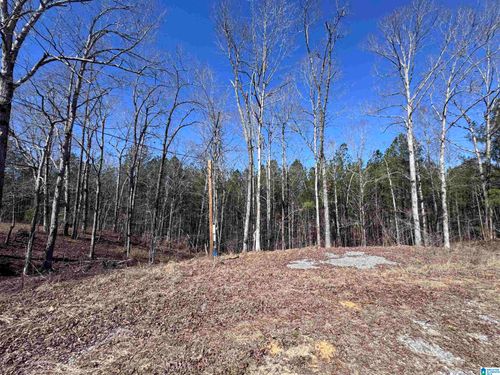 0-320 Willow Ln, Hayden, AL, 35079-5414 | Card Image
