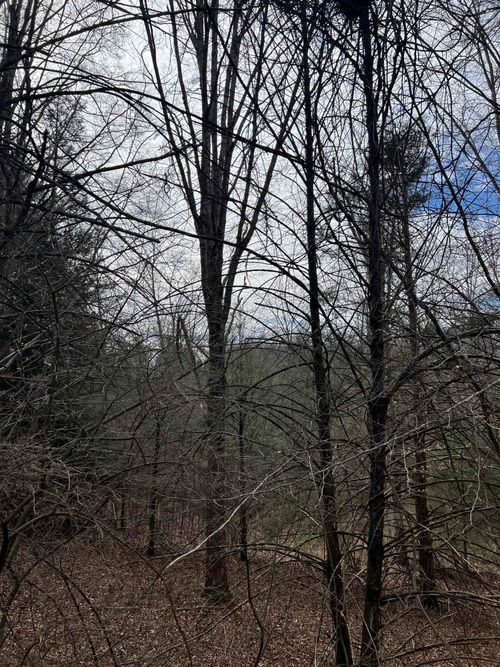 TBd Cold Springs Rd, RAPHINE, VA, 24472 | Card Image