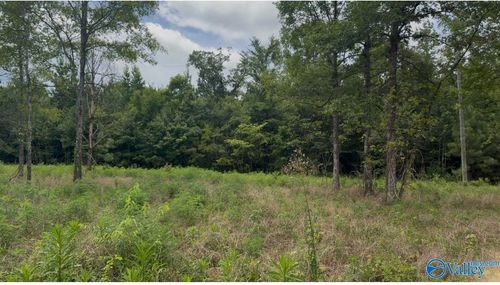Lot 60 County Road 32, Piedmont, AL, 36272-4769 | Card Image