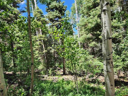 1506 Clarke Mountain Ln, Antonito, CO, 81120 | Card Image