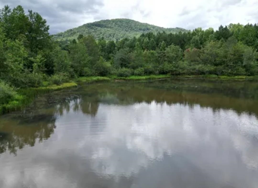 Land in Pickens 2