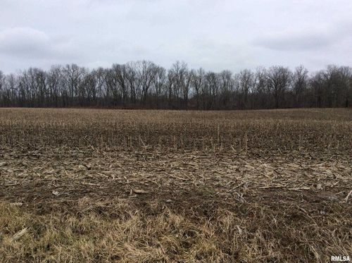 0000 Kell Rd, Kell, IL, 62853 | Card Image