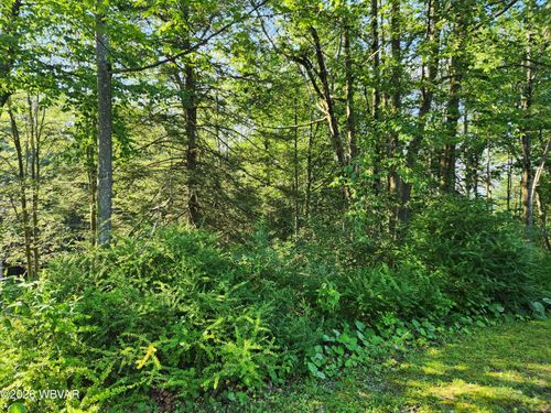 lot-4-4 Rider Ln, Muncy Valley, PA, 17758 | Card Image